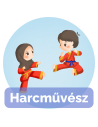 Arte marțiale